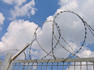 Barbed_wire_fence