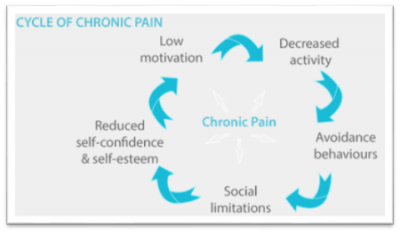 Chronic Cycle Chart