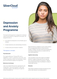 Depression & Anxiety 1-pager for clinicians-1