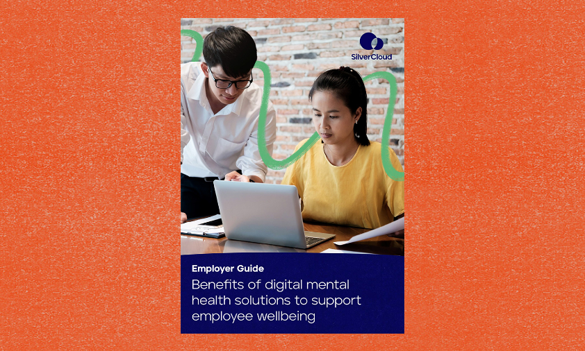SCH_EMP_eBook_EmployerGuide_2208-DG_Cards_421x253px-2